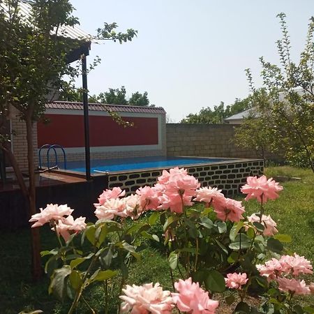 Villa Vilish Gabala Exterior foto