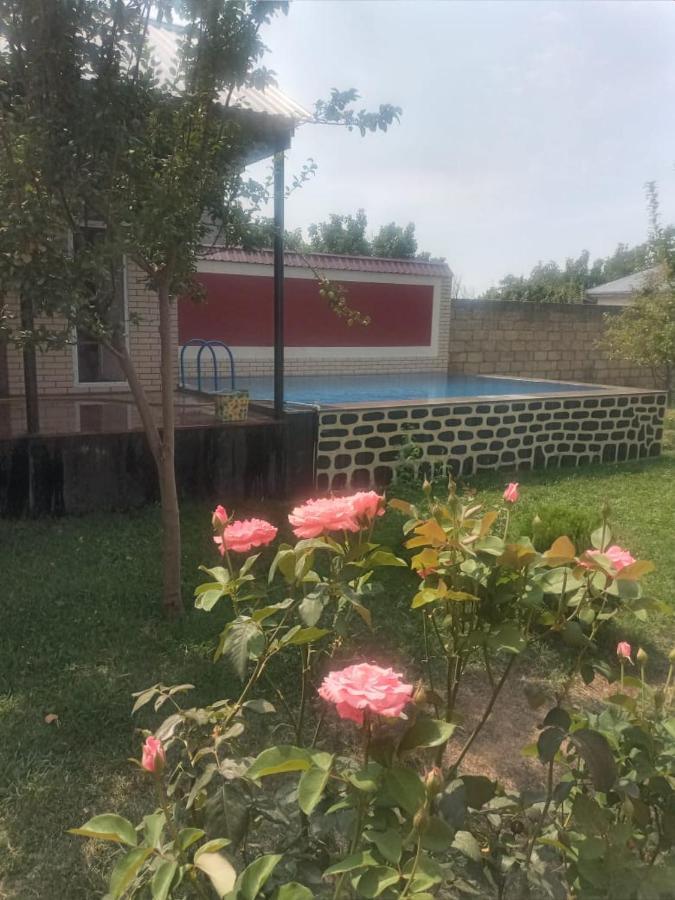 Villa Vilish Gabala Exterior foto
