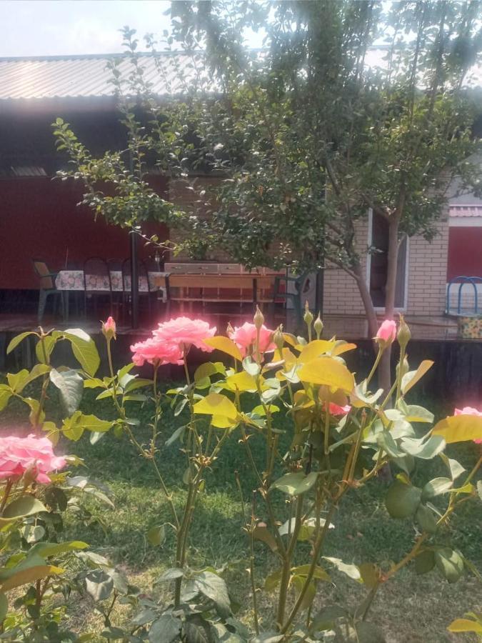 Villa Vilish Gabala Exterior foto
