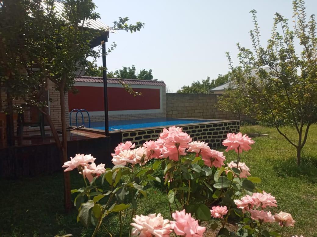 Villa Vilish Gabala Exterior foto